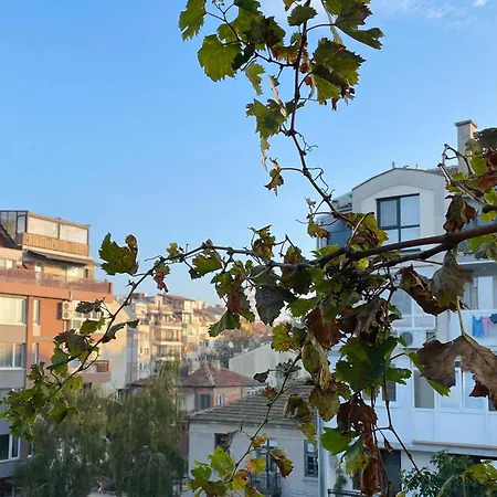 007 с градинка