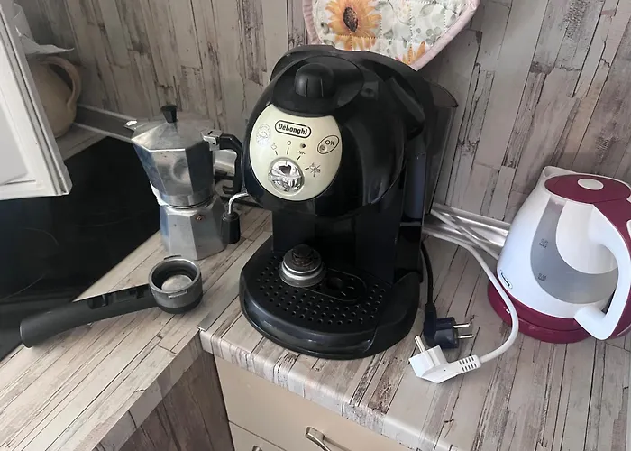 007 с градинка Burgas