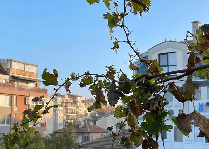 007 с градинка