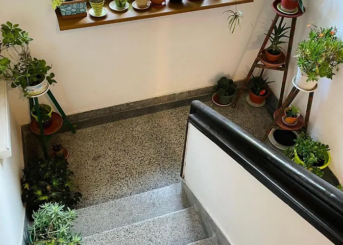 007 с градинка Apartamento