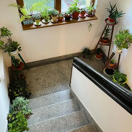 007 с градинка アパート